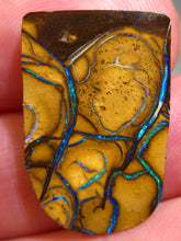 Laden Sie das Bild in den Galerie-Viewer, GEM Boulder Koroit Matrix Opal Nuss sensationelles Muster mit Vorschau VIDEO für Handschmeichler-Anhänger-Sammler-Vitrine