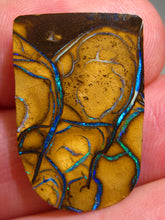 Laden Sie das Bild in den Galerie-Viewer, GEM Boulder Koroit Matrix Opal Nuss sensationelles Muster mit Vorschau VIDEO für Handschmeichler-Anhänger-Sammler-Vitrine