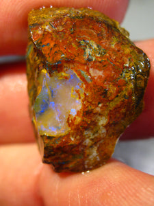 40 cts Australien Roh/rough Yowah NUSS Boulder Matrix Opal Sammler Schleifer