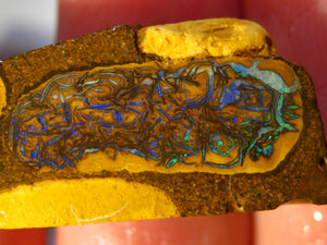 38 cts Australien Roh/rough Yowah NUSS Boulder Matrix Opal Sammler Schleifer