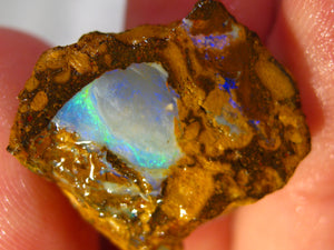31 cts Australien Roh/rough Yowah NUSS Boulder Matrix Opal Sammler Schleifer