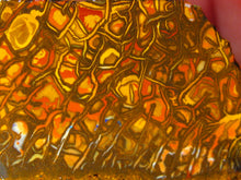Laden Sie das Bild in den Galerie-Viewer, 47 cts Australien Roh/rough Yowah NUSS Boulder Matrix Opal Sammler Schleifer