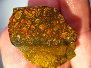 47 cts Australien Roh/rough Yowah NUSS Boulder Matrix Opal Sammler Schleifer
