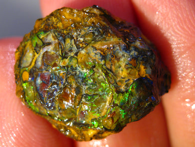 20 cts Australien Roh/rough Yowah NUSS Boulder Matrix Opal Sammler Schleifer