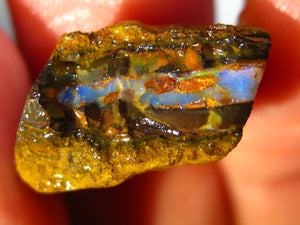 23 cts Australien Roh/rough Yowah NUSS Boulder Matrix Opal Sammler Schleifer