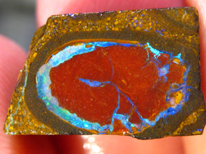13 cts Australien Roh/rough Yowah NUSS Boulder Matrix Opal Sammler Schleifer