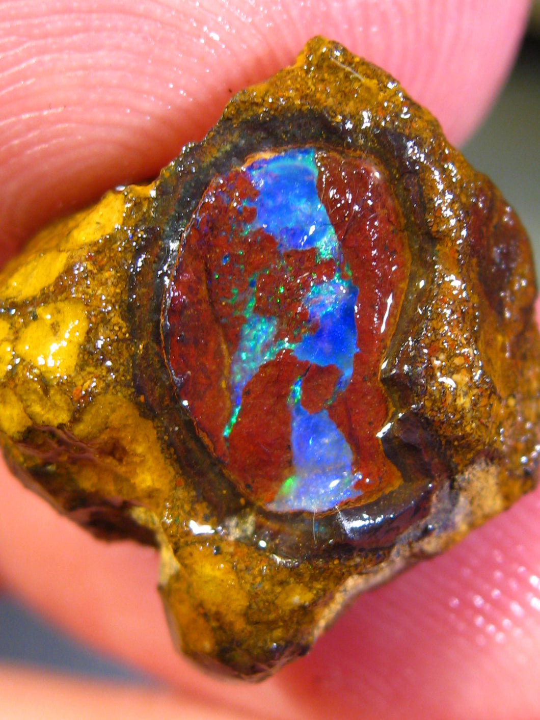 13 cts Australien Roh/rough Yowah NUSS Boulder Matrix Opal Sammler Schleifer