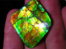 Laden Sie das Bild in den Galerie-Viewer, GEM Ammolite Drachenschuppen Ammolith Cabochon Schmuckstein - Repps-Opal