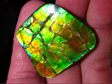 Laden Sie das Bild in den Galerie-Viewer, GEM Ammolite Drachenschuppen Ammolith Cabochon Schmuckstein - Repps-Opal