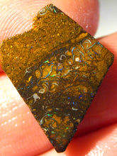 Laden Sie das Bild in den Galerie-Viewer, 16cts Australien Roh/rough Yowah Nuss Boulder Matrix Opal - Repps-Opal