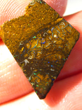 Laden Sie das Bild in den Galerie-Viewer, 16cts Australien Roh/rough Yowah Nuss Boulder Matrix Opal - Repps-Opal