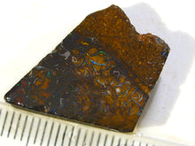 Laden Sie das Bild in den Galerie-Viewer, 16cts Australien Roh/rough Yowah Nuss Boulder Matrix Opal - Repps-Opal