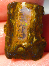 Laden Sie das Bild in den Galerie-Viewer, 14cts Australien Roh/rough Yowah Nuss Boulder Matrix Opal - Repps-Opal
