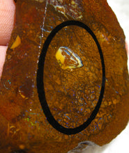 Laden Sie das Bild in den Galerie-Viewer, 245 cts Australien Roh/rough Yowah Boulder Matrix Opal Muster Vorlage am Stein - Repps-Opal