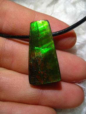 Ammolite Ammolith Anhänger seitlich gebohrt - Repps-Opal