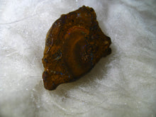 Laden Sie das Bild in den Galerie-Viewer, 37 cts Australien Roh/rough Yowah Boulder Matrix Opal - Repps-Opal