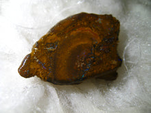 Laden Sie das Bild in den Galerie-Viewer, 37 cts Australien Roh/rough Yowah Boulder Matrix Opal - Repps-Opal
