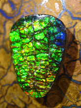 Laden Sie das Bild in den Galerie-Viewer, GEM Ammolite Ammolith Cabochon Schmuckstein Drachenschuppen - Repps-Opal