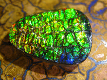Laden Sie das Bild in den Galerie-Viewer, GEM Ammolite Ammolith Cabochon Schmuckstein Drachenschuppen - Repps-Opal