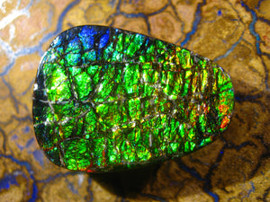 GEM Ammolite Ammolith Cabochon Schmuckstein Drachenschuppen - Repps-Opal