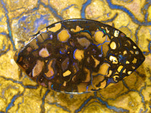 Laden Sie das Bild in den Galerie-Viewer, Boulder Opal mit Vorschau Video PC02 - Repps-Opal