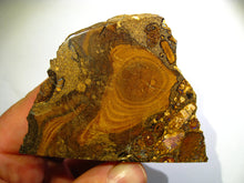Laden Sie das Bild in den Galerie-Viewer, GEM Boulder Yowah Matrix Opal Nuss sensationelles Muster mit vorschau VIDEO SAMMLER Vitrine