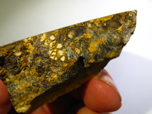 Laden Sie das Bild in den Galerie-Viewer, GEM Boulder Yowah Matrix Opal Nuss sensationelles Muster mit vorschau VIDEO SAMMLER Vitrine