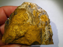 Laden Sie das Bild in den Galerie-Viewer, GEM Boulder Yowah Matrix Opal Nuss sensationelles Muster mit vorschau VIDEO SAMMLER Vitrine