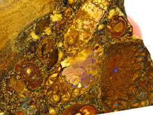 Laden Sie das Bild in den Galerie-Viewer, GEM Boulder Yowah Matrix Opal Nuss sensationelles Muster mit vorschau VIDEO SAMMLER Vitrine