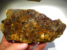 Laden Sie das Bild in den Galerie-Viewer, Boulder Yowah Matrix Opal Nuss sensationelles Muster mit vorschau VIDEO SAMMLER Vitrine
