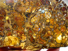 Laden Sie das Bild in den Galerie-Viewer, Boulder Yowah Matrix Opal Nuss sensationelles Muster mit vorschau VIDEO SAMMLER Vitrine