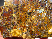Laden Sie das Bild in den Galerie-Viewer, Boulder Yowah Matrix Opal Nuss sensationelles Muster mit vorschau VIDEO SAMMLER Vitrine
