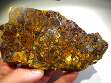 Laden Sie das Bild in den Galerie-Viewer, Boulder Yowah Matrix Opal Nuss sensationelles Muster mit vorschau VIDEO SAMMLER Vitrine