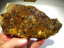 Laden Sie das Bild in den Galerie-Viewer, Boulder Yowah Matrix Opal Nuss sensationelles Muster mit vorschau VIDEO SAMMLER Vitrine
