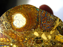 Laden Sie das Bild in den Galerie-Viewer, Boulder Yowah Matrix Opal Nuss sensationelles Muster mit vorschau VIDEO SAMMLER Vitrine