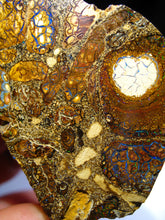 Laden Sie das Bild in den Galerie-Viewer, Boulder Yowah Matrix Opal Nuss sensationelles Muster mit vorschau VIDEO SAMMLER Vitrine