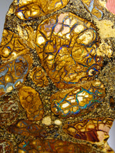 Laden Sie das Bild in den Galerie-Viewer, Boulder Yowah Matrix Opal Nuss sensationelles Muster mit vorschau VIDEO SAMMLER Vitrine