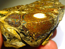 Laden Sie das Bild in den Galerie-Viewer, Boulder Yowah Matrix Opal Nuss sensationelles Muster mit vorschau VIDEO SAMMLER Vitrine