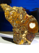 Laden Sie das Bild in den Galerie-Viewer, Boulder Yowah Matrix Opal Nuss sensationelles Muster mit vorschau VIDEO SAMMLER Vitrine