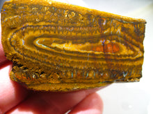 Laden Sie das Bild in den Galerie-Viewer, 280 cts Australien Roh/rough Yowah Boulder Matrix Opal Musterstein B - Repps-Opal