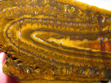 Laden Sie das Bild in den Galerie-Viewer, 280 cts Australien Roh/rough Yowah Boulder Matrix Opal Musterstein B - Repps-Opal