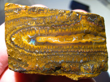 Laden Sie das Bild in den Galerie-Viewer, 240 cts Australien Roh/rough Yowah Boulder Matrix Opal Musterstein D - Repps-Opal
