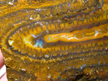 Laden Sie das Bild in den Galerie-Viewer, 240 cts Australien Roh/rough Yowah Boulder Matrix Opal Musterstein D - Repps-Opal