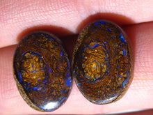 Laden Sie das Bild in den Galerie-Viewer, GEM Boulder Opal Cabochon Paar aus Winton mit Vorschau Video - Repps-Opal