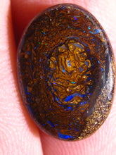 Laden Sie das Bild in den Galerie-Viewer, GEM Boulder Opal Cabochon Paar aus Winton mit Vorschau Video - Repps-Opal