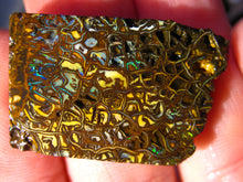 Laden Sie das Bild in den Galerie-Viewer, 570cts Australien Roh/rough Koroit Boulder Matrix Opale Picture Stones LotK - Repps-Opal