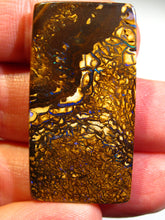 Laden Sie das Bild in den Galerie-Viewer, GEM Boulder Yowah Matrix Opal Nuss sensationelles Muster mit Vorschau VIDEO für Handschmeichler-Anhänger-Sammler-Vitrine
