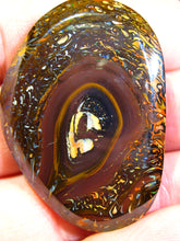 Laden Sie das Bild in den Galerie-Viewer, GEM Boulder Yowah Matrix Opal Nuss sensationelles Muster mit Vorschau VIDEO für Handschmeichler-Anhänger-Sammler-Vitrine