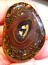 Laden Sie das Bild in den Galerie-Viewer, GEM Boulder Yowah Matrix Opal Nuss sensationelles Muster mit Vorschau VIDEO für Handschmeichler-Anhänger-Sammler-Vitrine