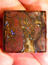 Laden Sie das Bild in den Galerie-Viewer, GEM Boulder Yowah Matrix Opal Nuss sensationelles Muster mit Vorschau VIDEO für Handschmeichler-Anhänger-Sammler-Vitrine